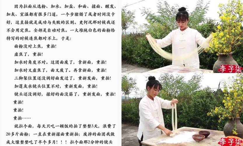 李子柒麻辣牛肉面